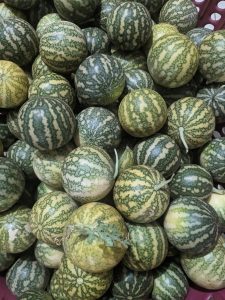 Kummutikkai / குமட்டிக்காய் / Thumbatikai (Citrullus colocynthis) 1 Kg